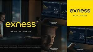 Understanding Exness Standard A Comprehensive Guide to Trading Success